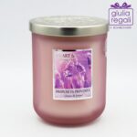 Candela profumata Lavanda e Vetiver - Profumi di Provenza 340 g