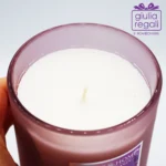 Candela profumata Lavanda e Vetiver - Profumi di Provenza 340 g